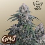 GMO Auto femmina FastBuds Seeds