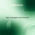 Segnaposto