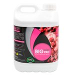 Big Candy Pro 5 lt. Big Nutrients