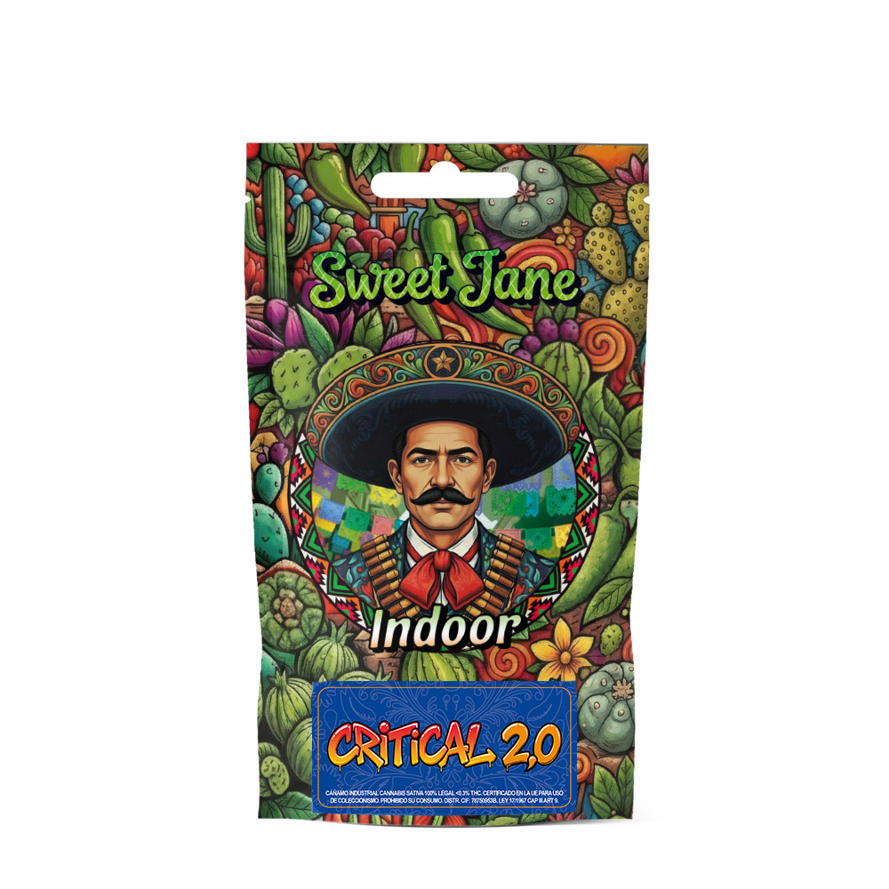 CBD-Sweet-Jane-Indoor-Critical-20-1-gr.jpg CBD Sweet Jane Indoor Critical 2.0 - immagine 1