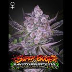Super Boof X Motorbreath fem. Green House